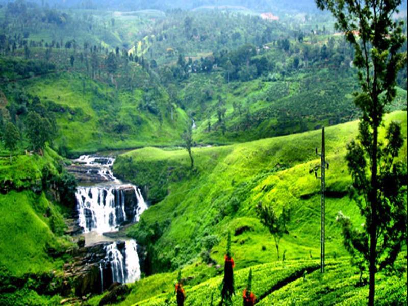 42 होटल Nuwara Eliya