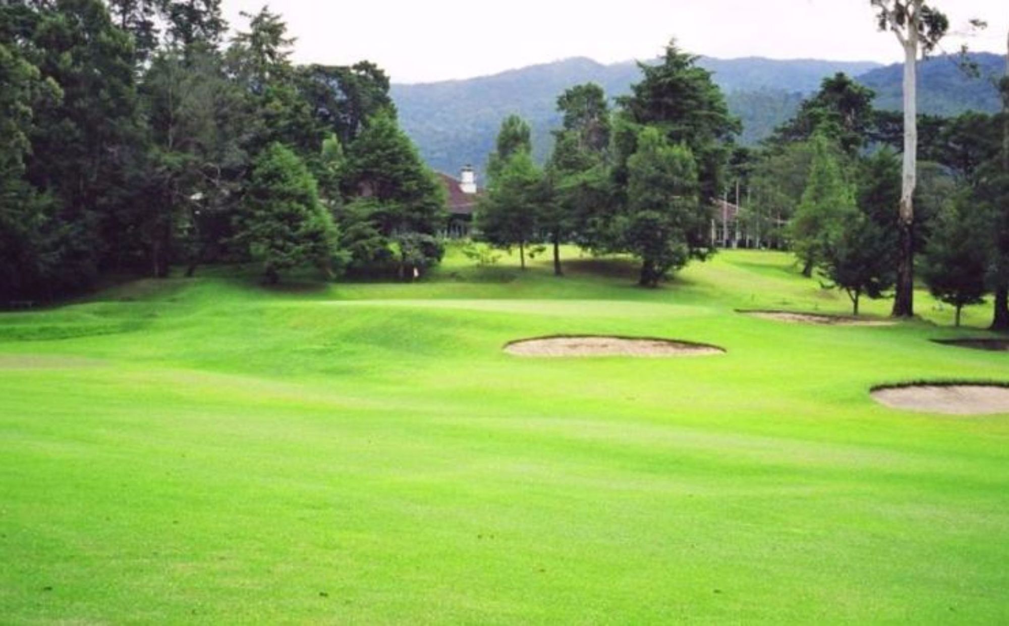 42 3* Nuwara Eliya